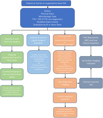 Multimodality Imaging in the Diagnosis of Prosthetic Valve Endocarditis: A Brief Review